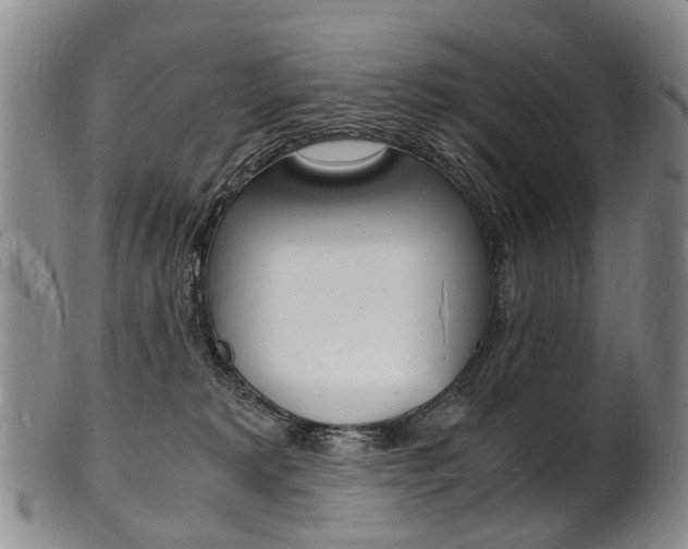 X0000101670229200807101057