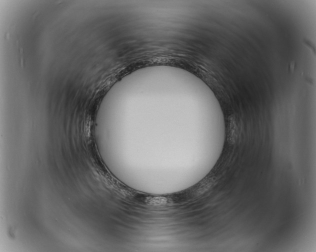X0000101670230200807101057