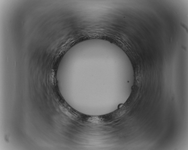 X0000101670231200807101057
