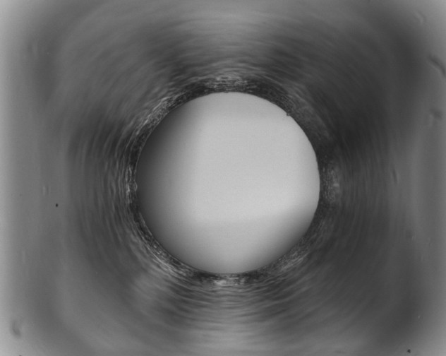 X0000101670232200807101057