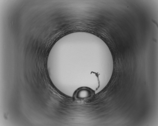 X0000101670233200807101057