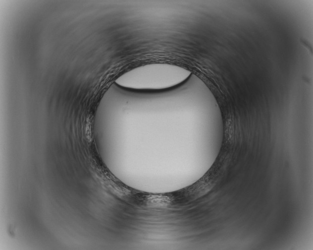 X0000101670234200807101057