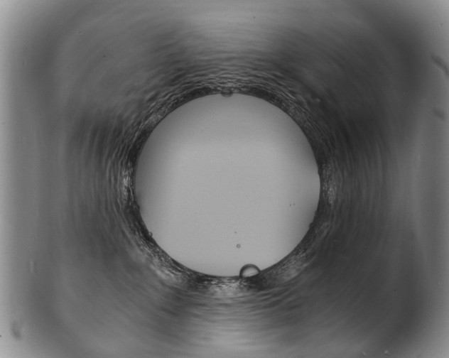 X0000101670235200807101057