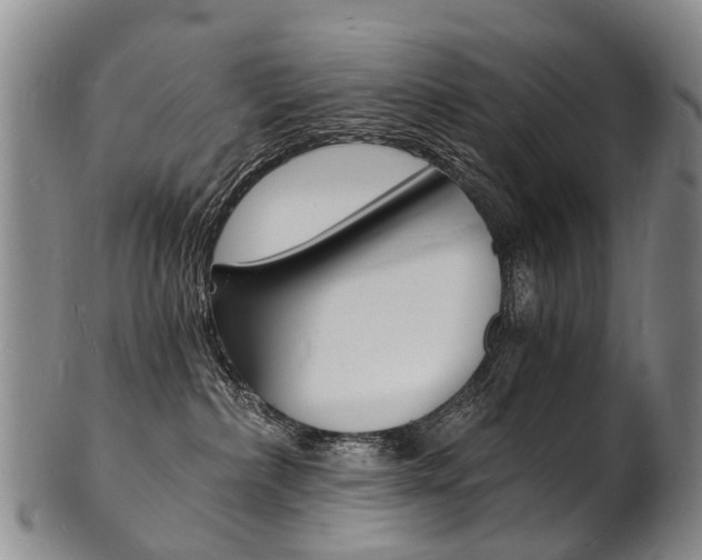 X0000101670236200807101057