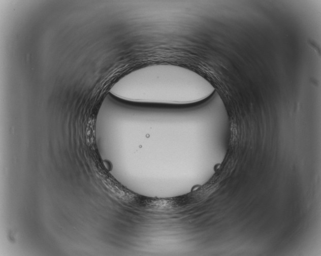 X0000101670237200807101057