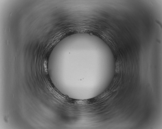 X0000101670238200807101057