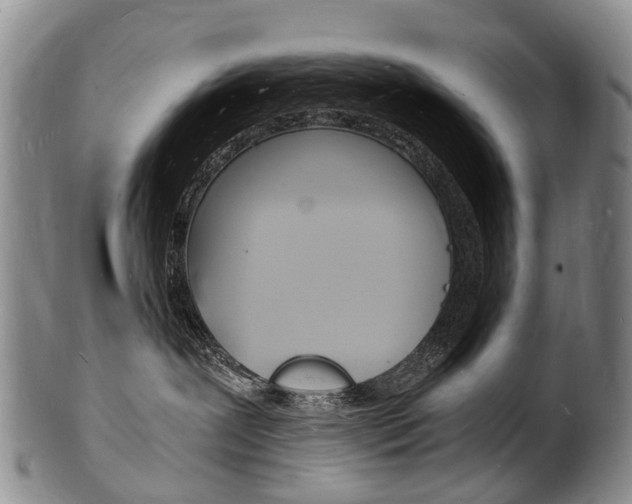 X0000101670239200807101057
