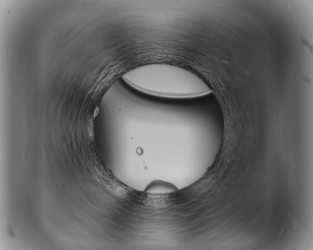 X0000101670240200807101057