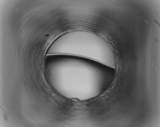 X0000101670241200807101056