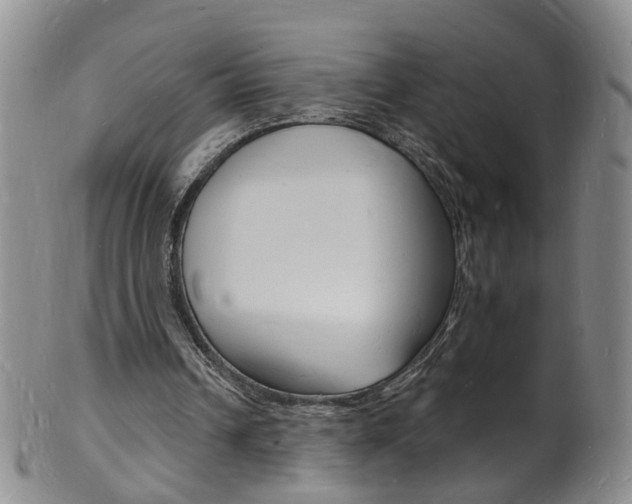 X0000101670242200807101056