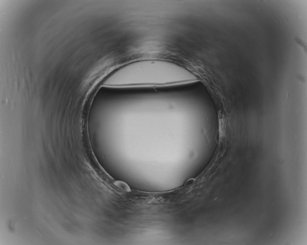 X0000101670243200807101056