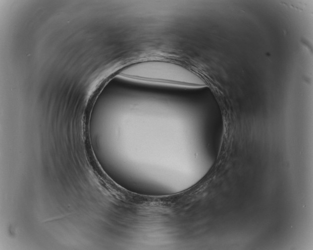 X0000101670244200807101056