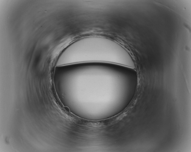 X0000101670245200807101056