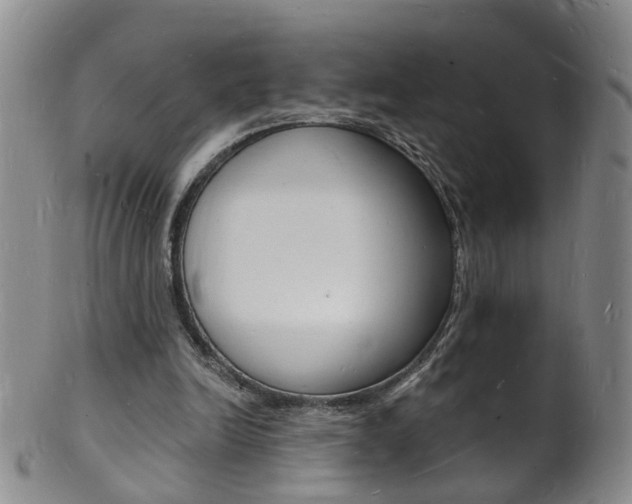 X0000101670246200807101056