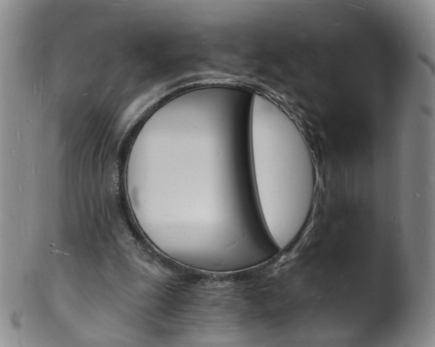X0000101670247200807101056