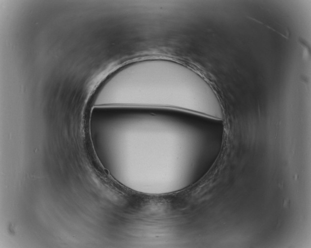 X0000101670248200807101056