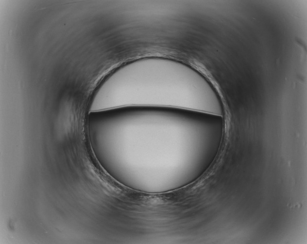 X0000101670249200807101056