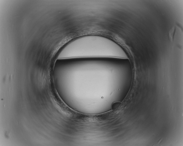 X0000101670250200807101056