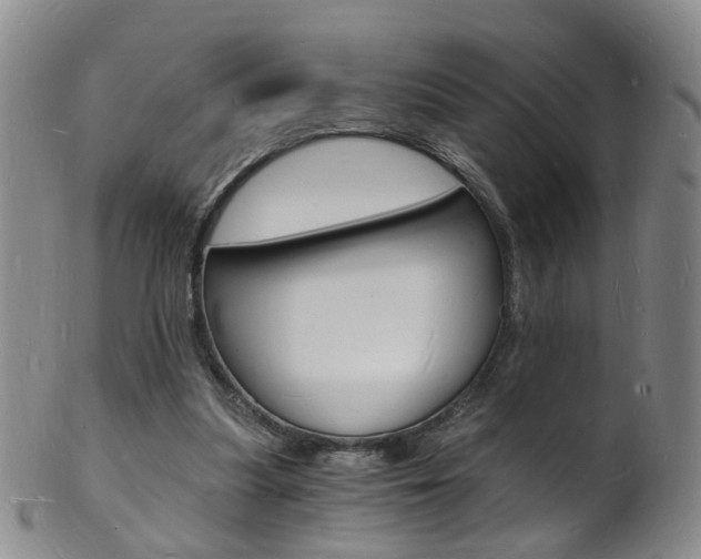 X0000101670251200807101056