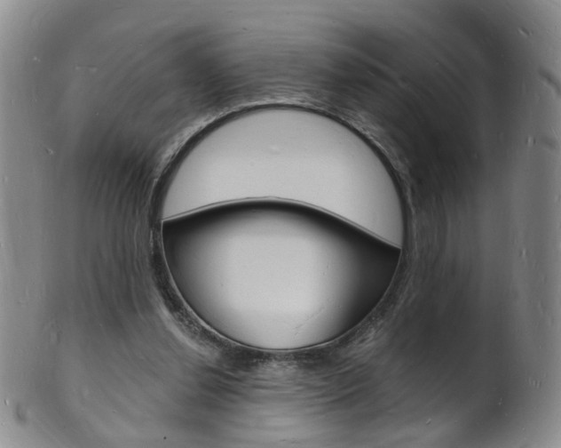 X0000101670252200807101056