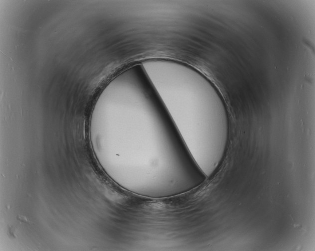 X0000101670253200807101056