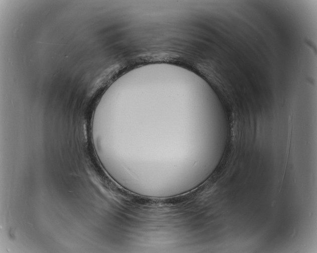 X0000101670254200807101056