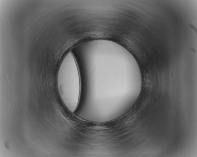 X0000101670255200807101056