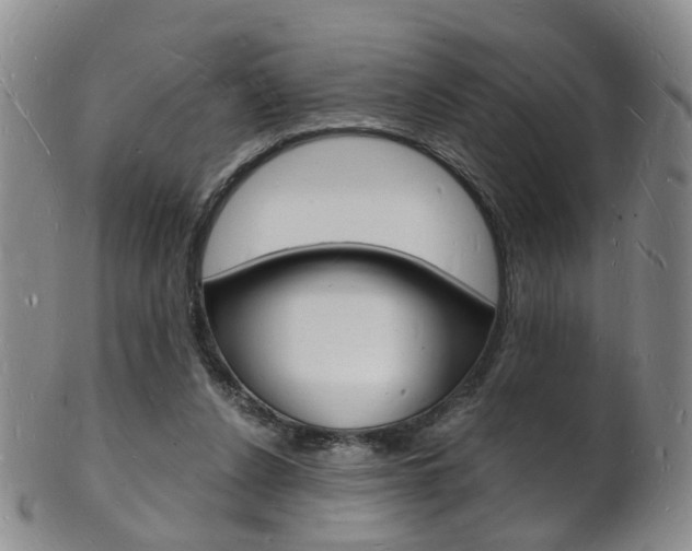 X0000101670256200807101056