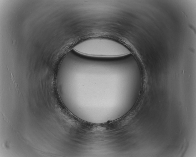 X0000101670257200807101056