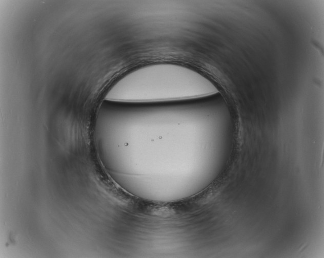 X0000101670258200807101056