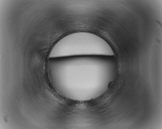 X0000101670259200807101056