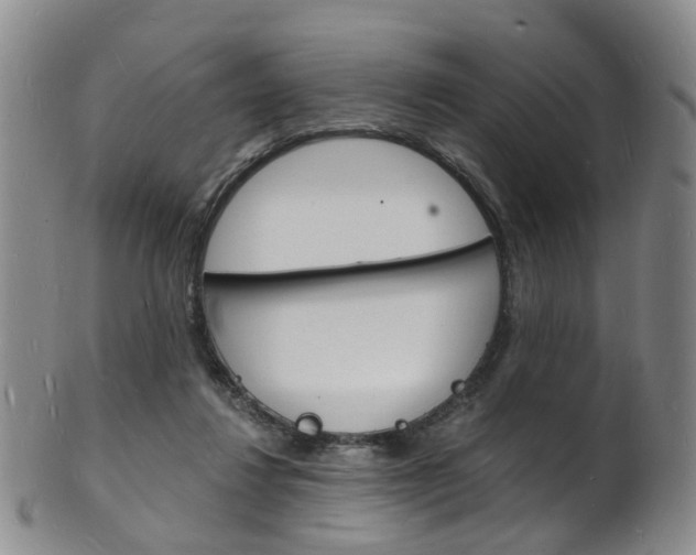 X0000101670260200807101056