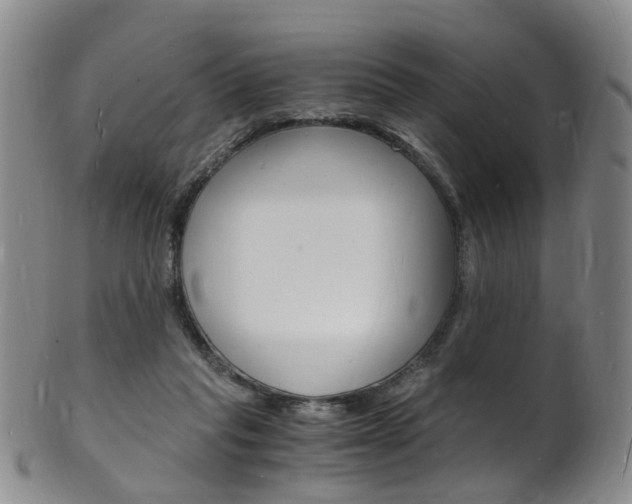 X0000101670261200807101056