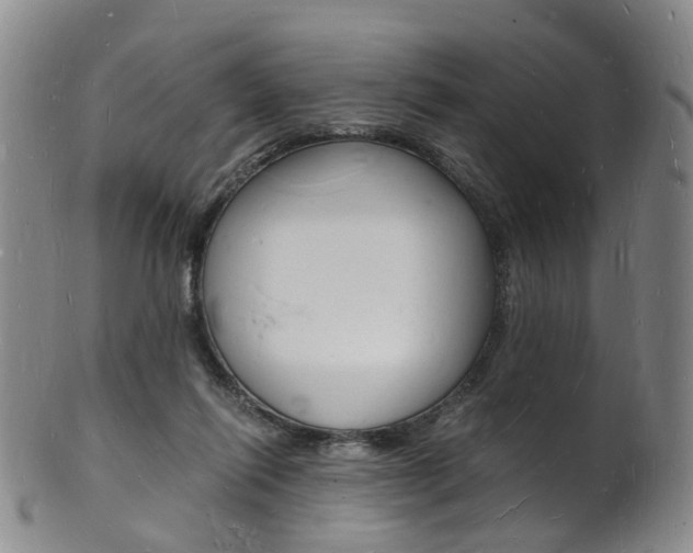 X0000101670262200807101056