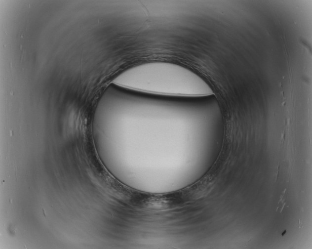 X0000101670263200807101056