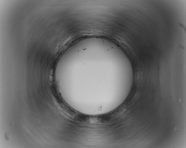 X0000101670264200807101056
