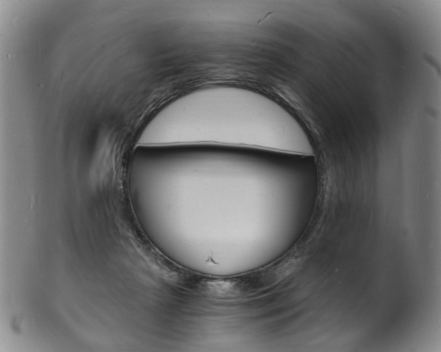 X0000101670265200807101056