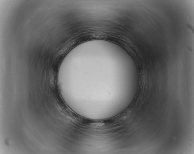 X0000101670266200807101056