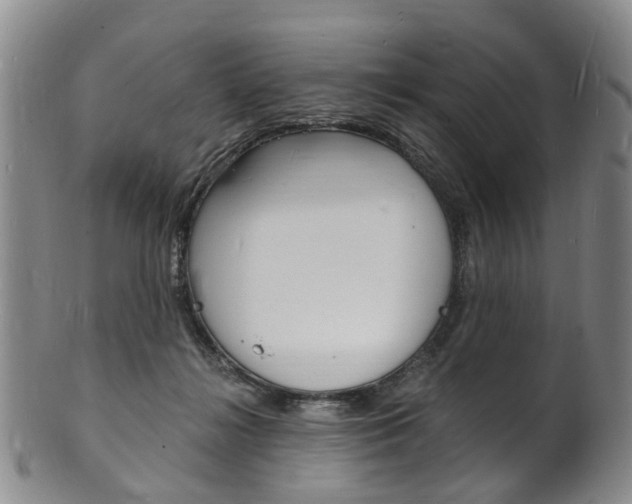 X0000101670268200807101056