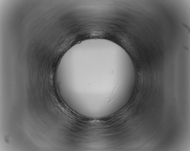X0000101670269200807101056
