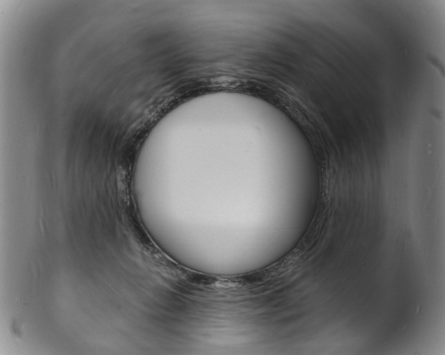 X0000101670270200807101056
