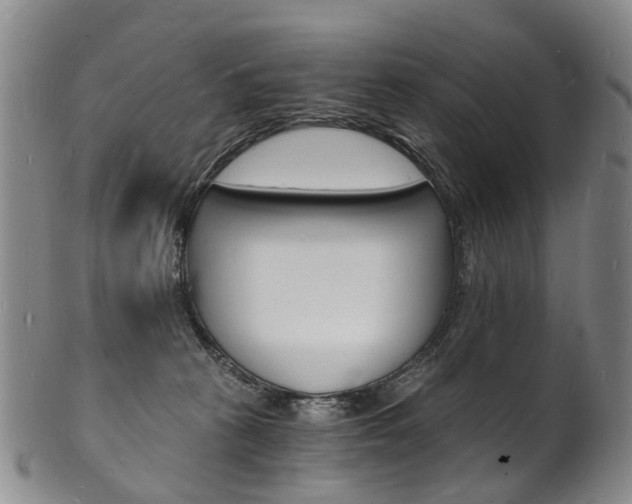 X0000101670273200807101056