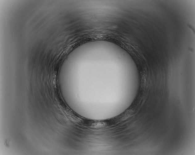 X0000101670274200807101056