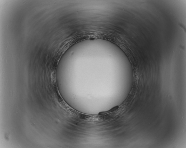 X0000101670276200807101056