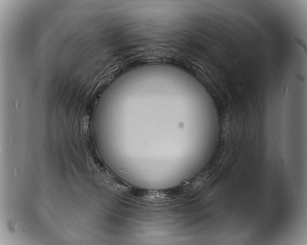 X0000101670278200807101056