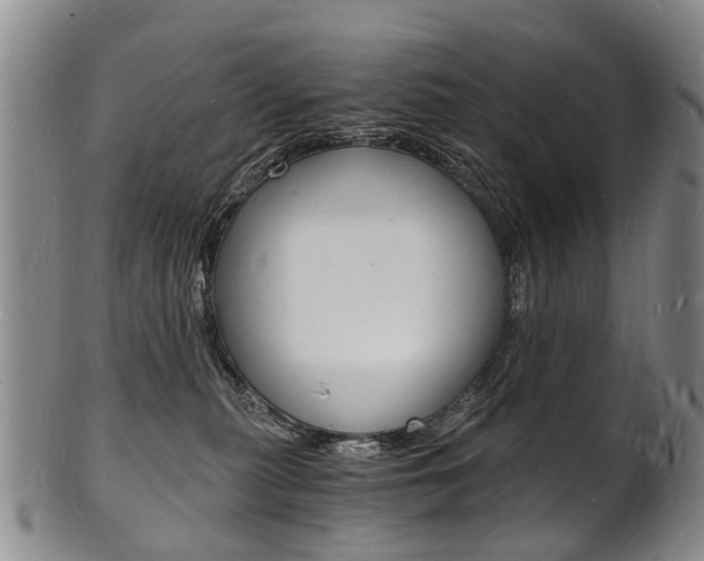 X0000101670279200807101056