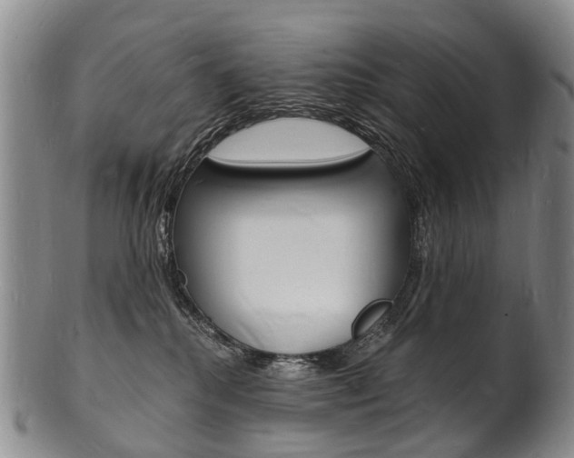X0000101670280200807101056