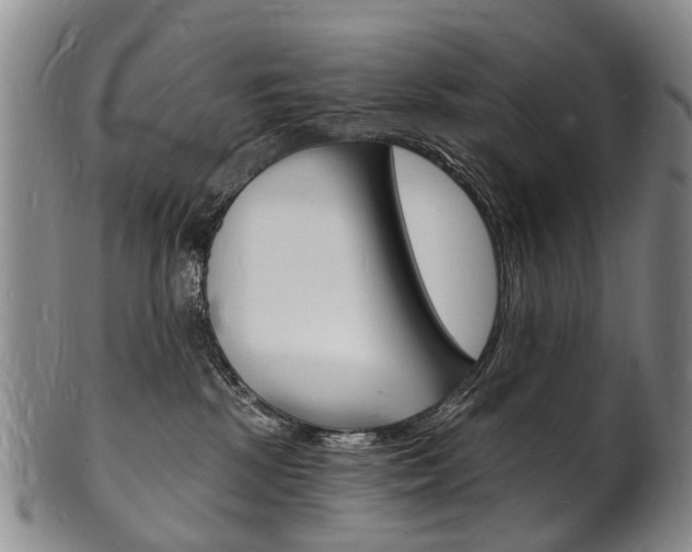 X0000101670281200807101056