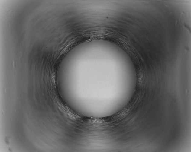 X0000101670282200807101056