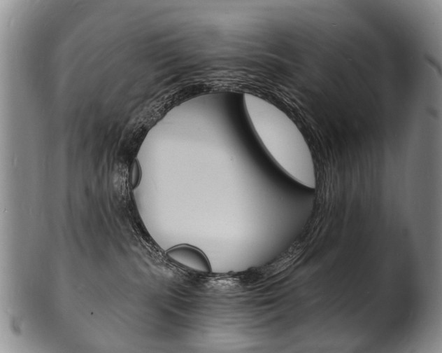 X0000101670283200807101056